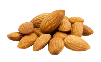 купить кислый миндаль из узбекистана оптом