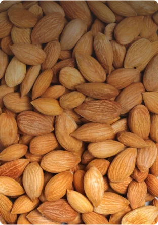 Ядро миндаля