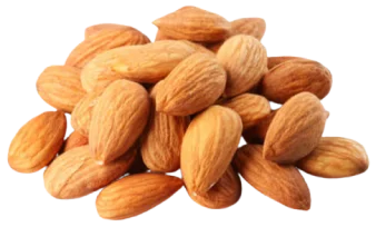 экспорт сладкого миндаля из узбекистана