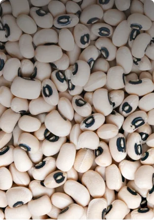 Фасоль черный глаз