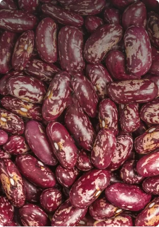 Фасоль красная пестрая