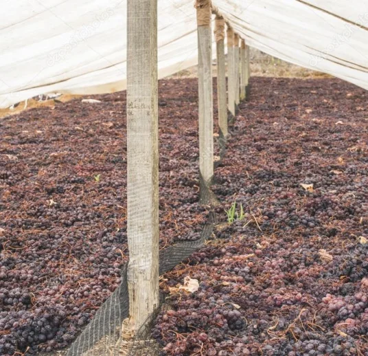 черный изюм на экспорт