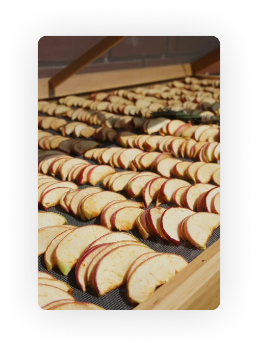 Dried apples
