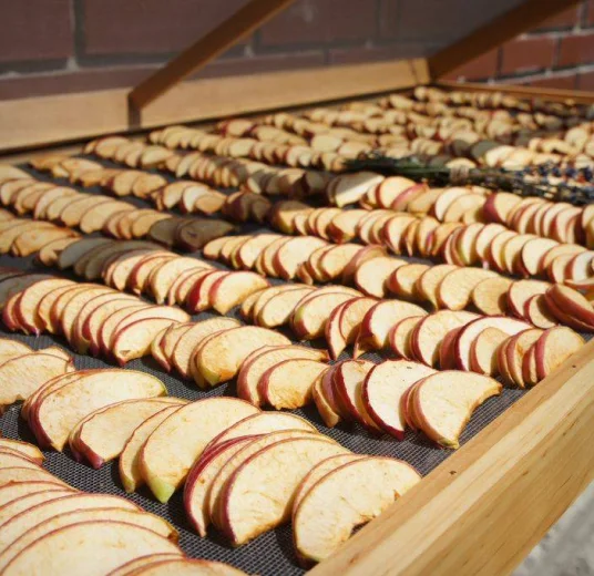 яблока сушеная купить из Узбекистана экспорт