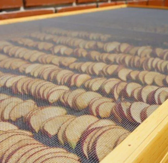 сушеная яблока купить оптом для экспорта из Узбекистана