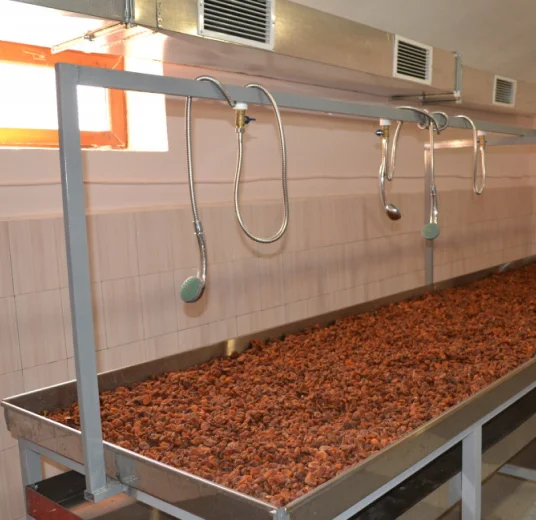 dried-apricot-washing