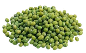 экспорт зеленой маши полированной и отборной