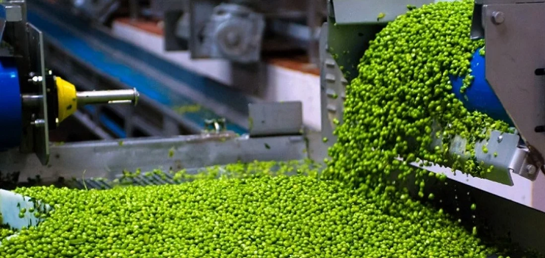 зеленая маш лучшая машинная очистка