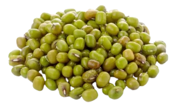 купить зеленую маш на экспорт по лучшей цене из узбекистана