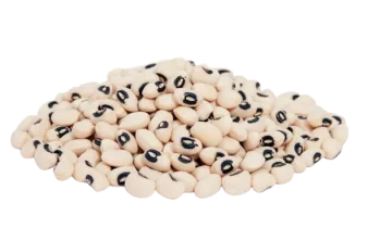 купить полированную фасоль черный глаз на экспорт лучшего качества