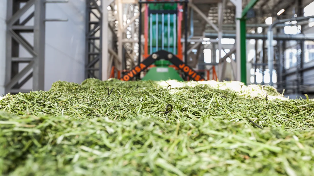 экспорт фасоли почковидной lskb высокого качества из узбекистана