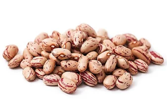 купить полированную фасоль почковидную на экспорт из узбекистана по лучшей цене