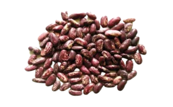 экспорт фасоли из узбекистана pskb королевский