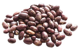 купить фасоль почковидную pskb из узбекистана по лучшей цене на экспорт