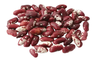 экспорт высококачественной фасоли почковидной по лучшим ценам