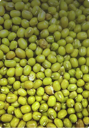 Зеленый маш