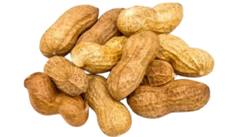 экспорт жареный арахис в скорлупе из узбекистана оптом