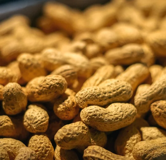 жареный арахис в скорлупе на экспорт из узбекистана лучший
