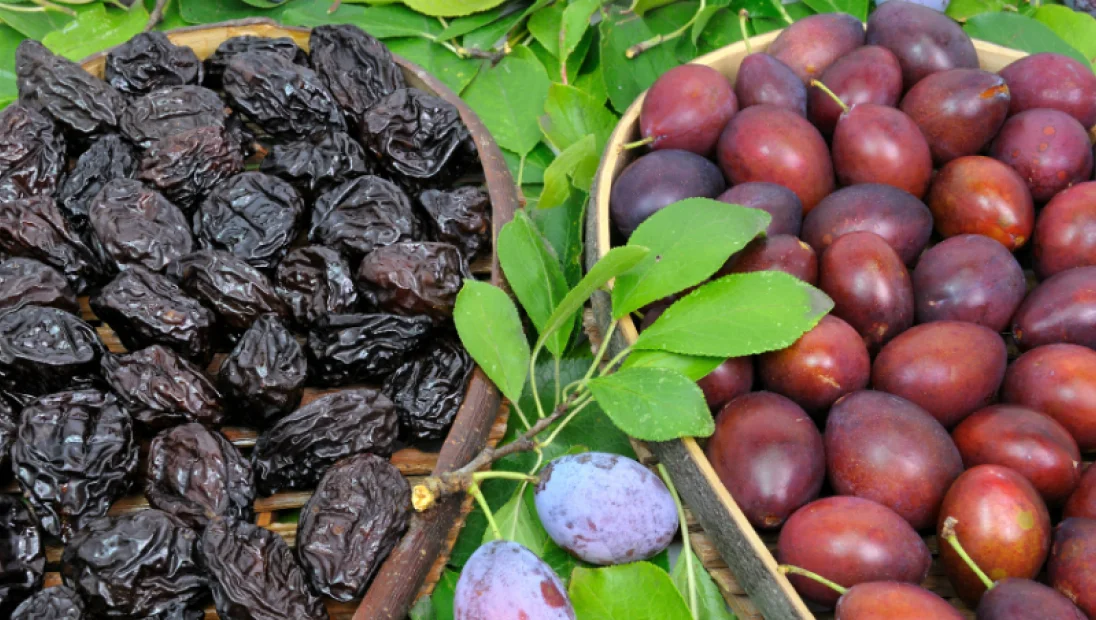 узбекский чернослив сушеный купить из Узбекистана