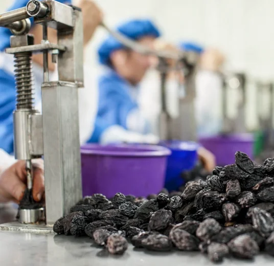 чернослив сушеный купить из Узбекистана экспорт