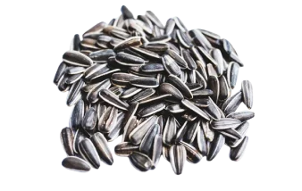 купить жареные полосатые подсолнечные семечки из узбекистана на экспорт