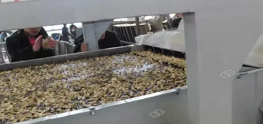 обработка подсолнечных семечек для экспорта в узбекистане