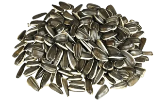 купить полосатые подсолнечные семечки из узбекистана на экспорт