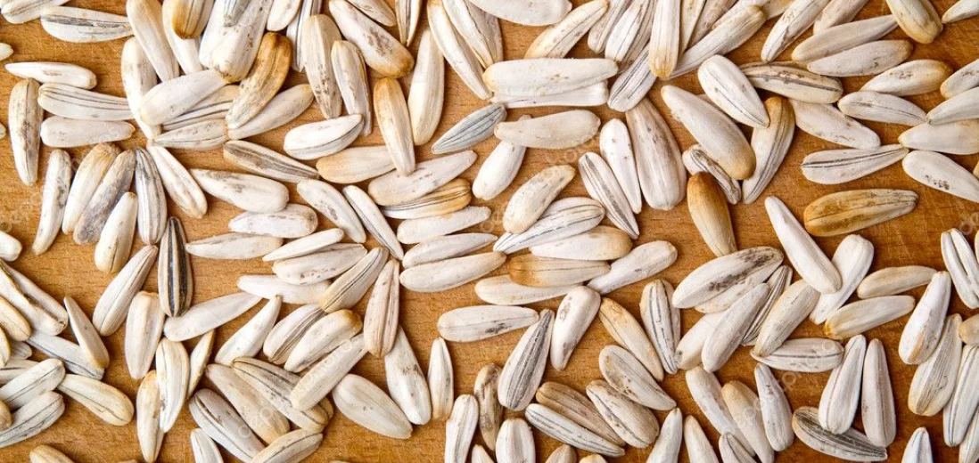 экспорт подсолнечных семечек из узбекистана оптом по лучшей цене