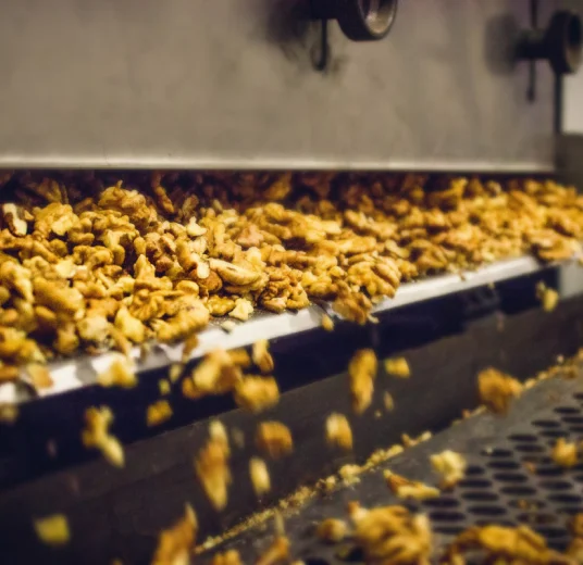 экспорт грецкого ореха от производителя по лучшей цене