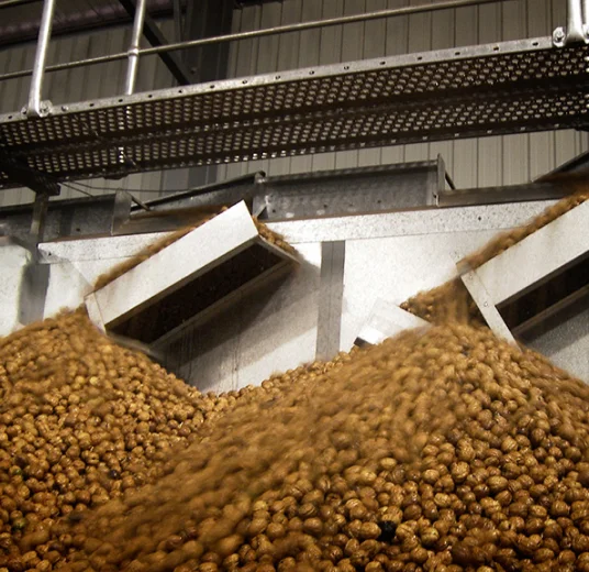 экспорт грецкого ореха оптом из узбекистана